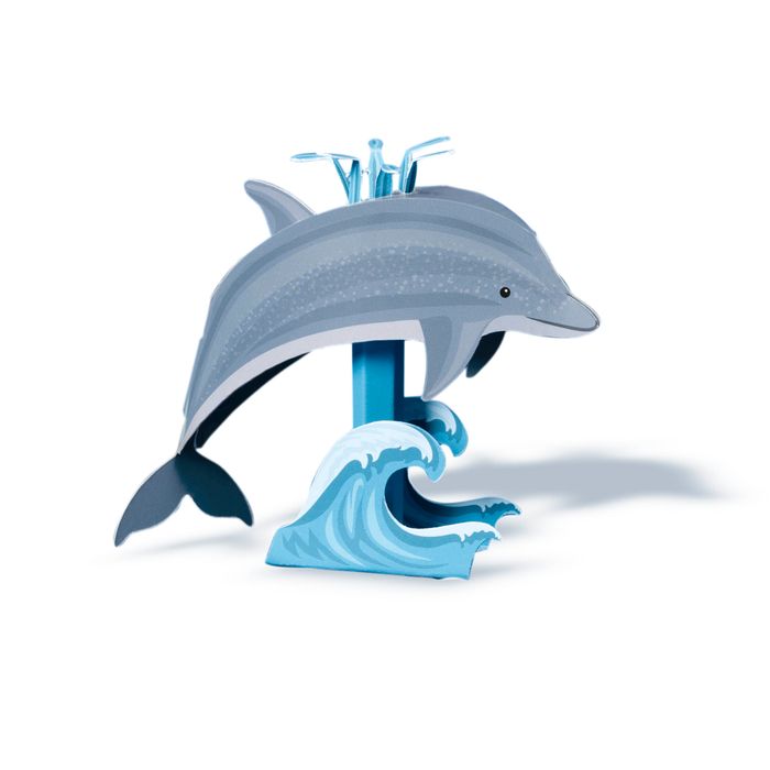 Create Your Own Dinky Dolphin