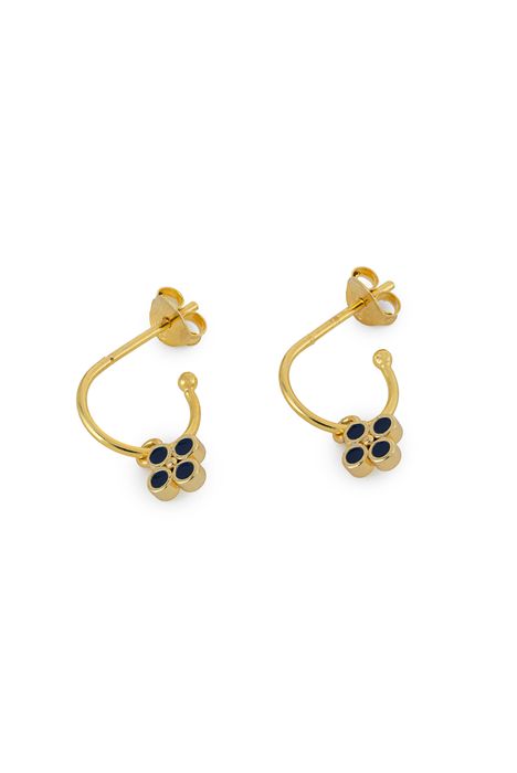 Alber Enamel Earrings