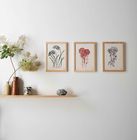 Individual Botanical Art Prints A4 and A3