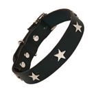 Leather Studded Collars