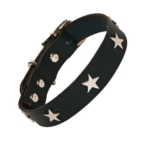 Leather Studded Collars