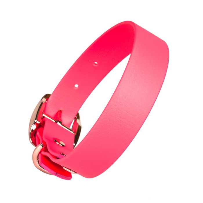 Vegan Biothane Dog Collars