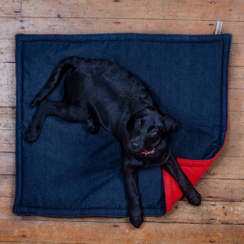 Dog & Cat Padded Blankets