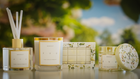 The Botanicals Collection