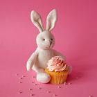 Organic Knitted Baby Toys