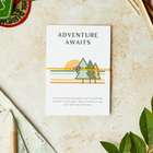 Pineandbear