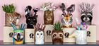 Pen Pots