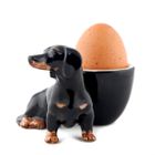 Egg Cups