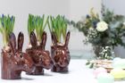 Face Egg Cups