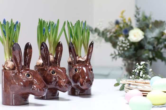 Face Egg Cups