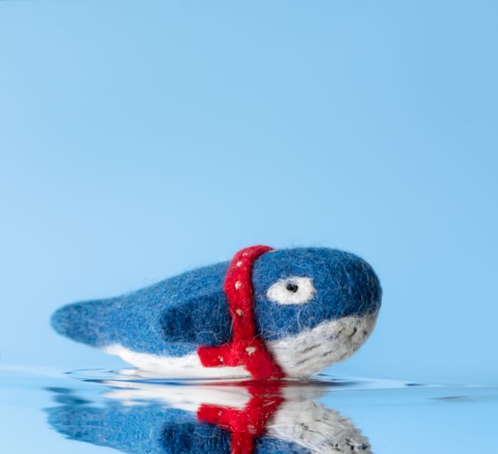 Pocket Pal Toys