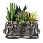 Tri Planter