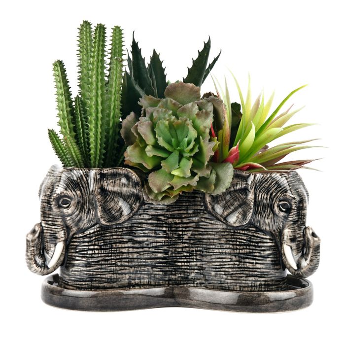 Tri Planter