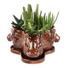Tri Planter