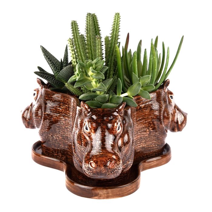 Tri Planter