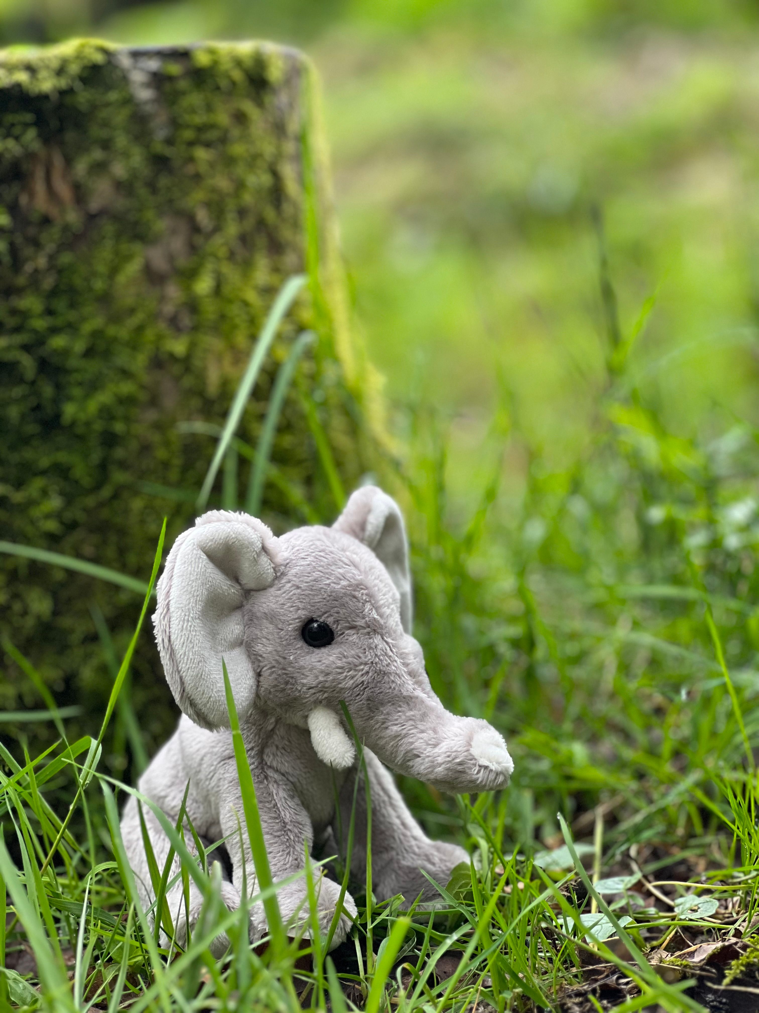 Cuddle Cub Elephant