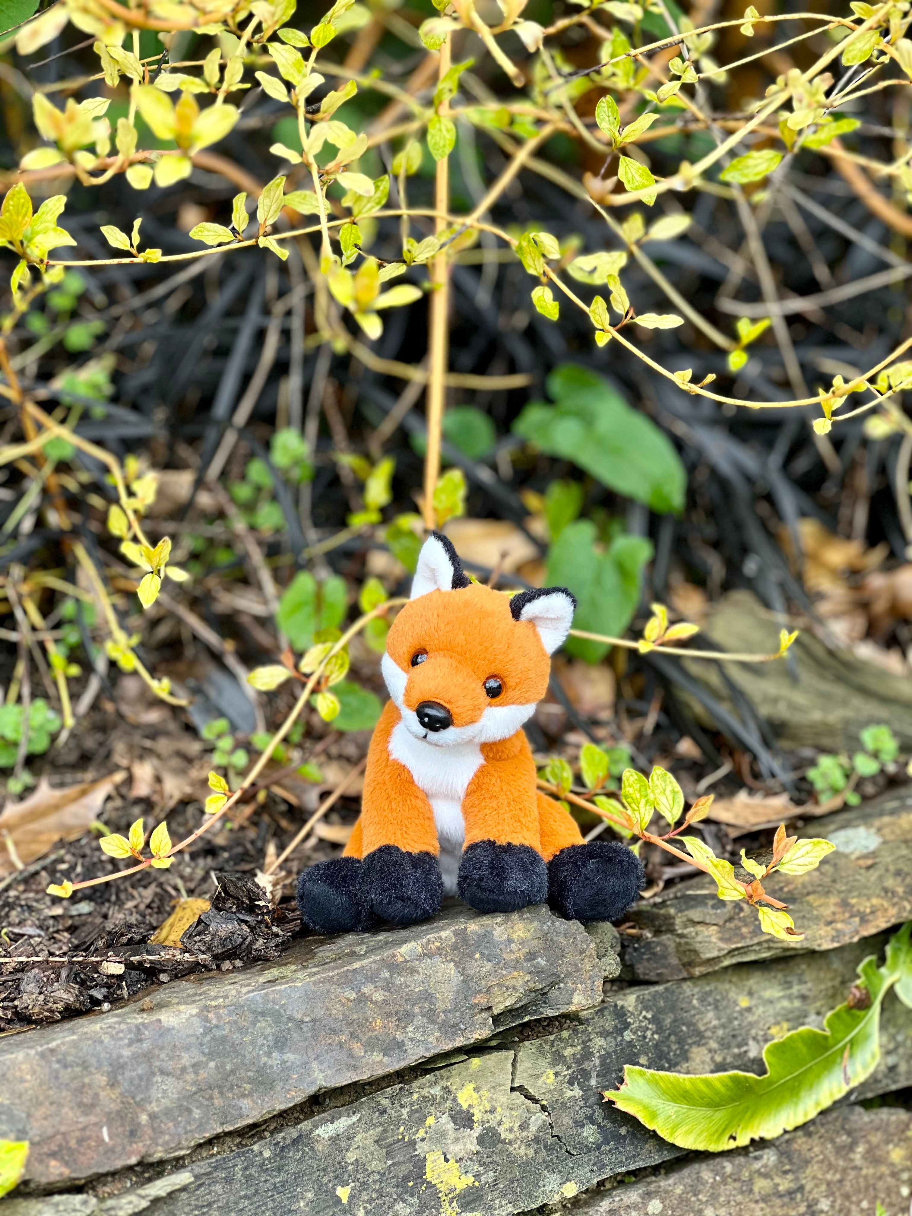 Cuddle Cub Fox