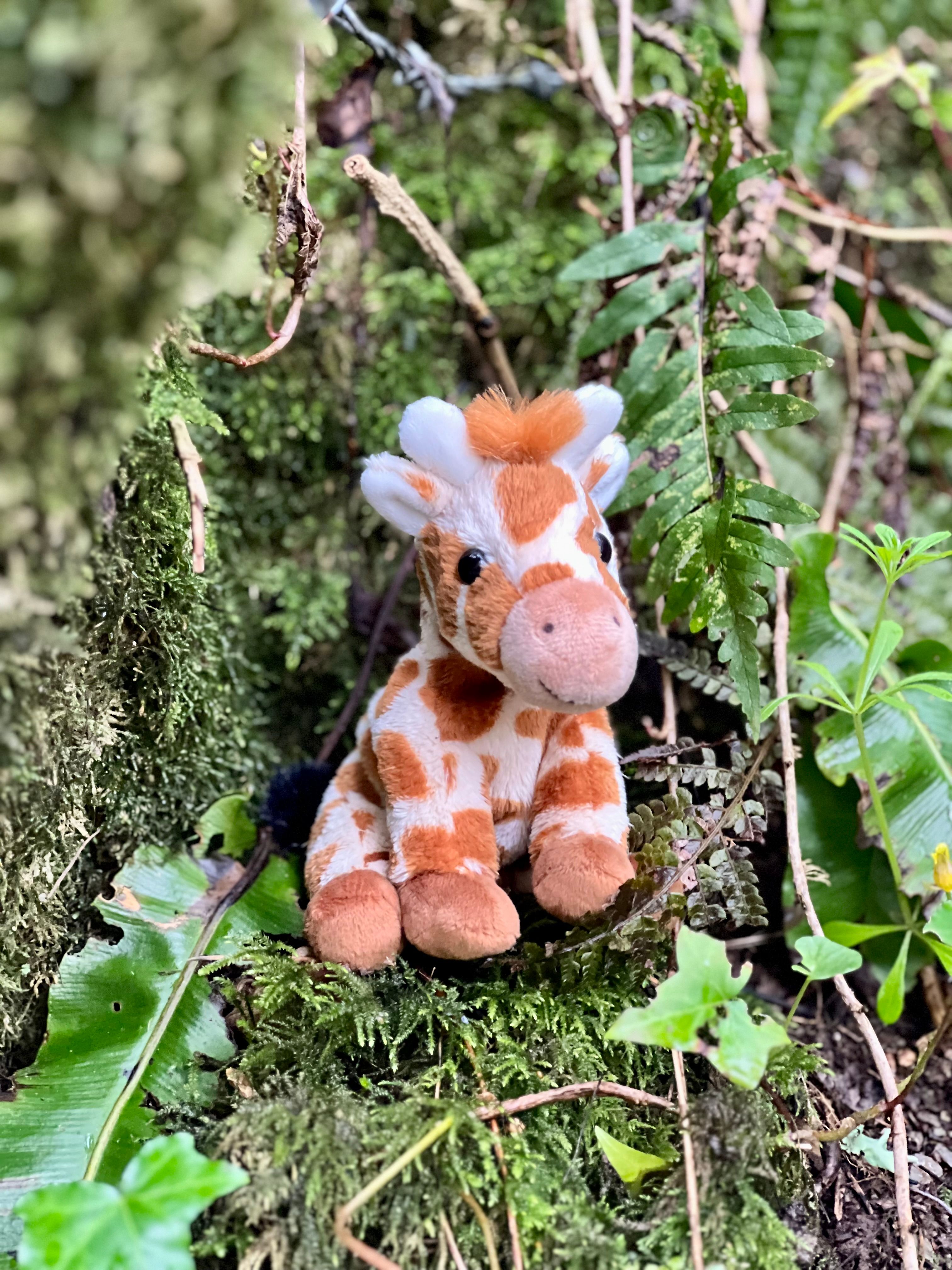 Cuddle Cub Giraffe