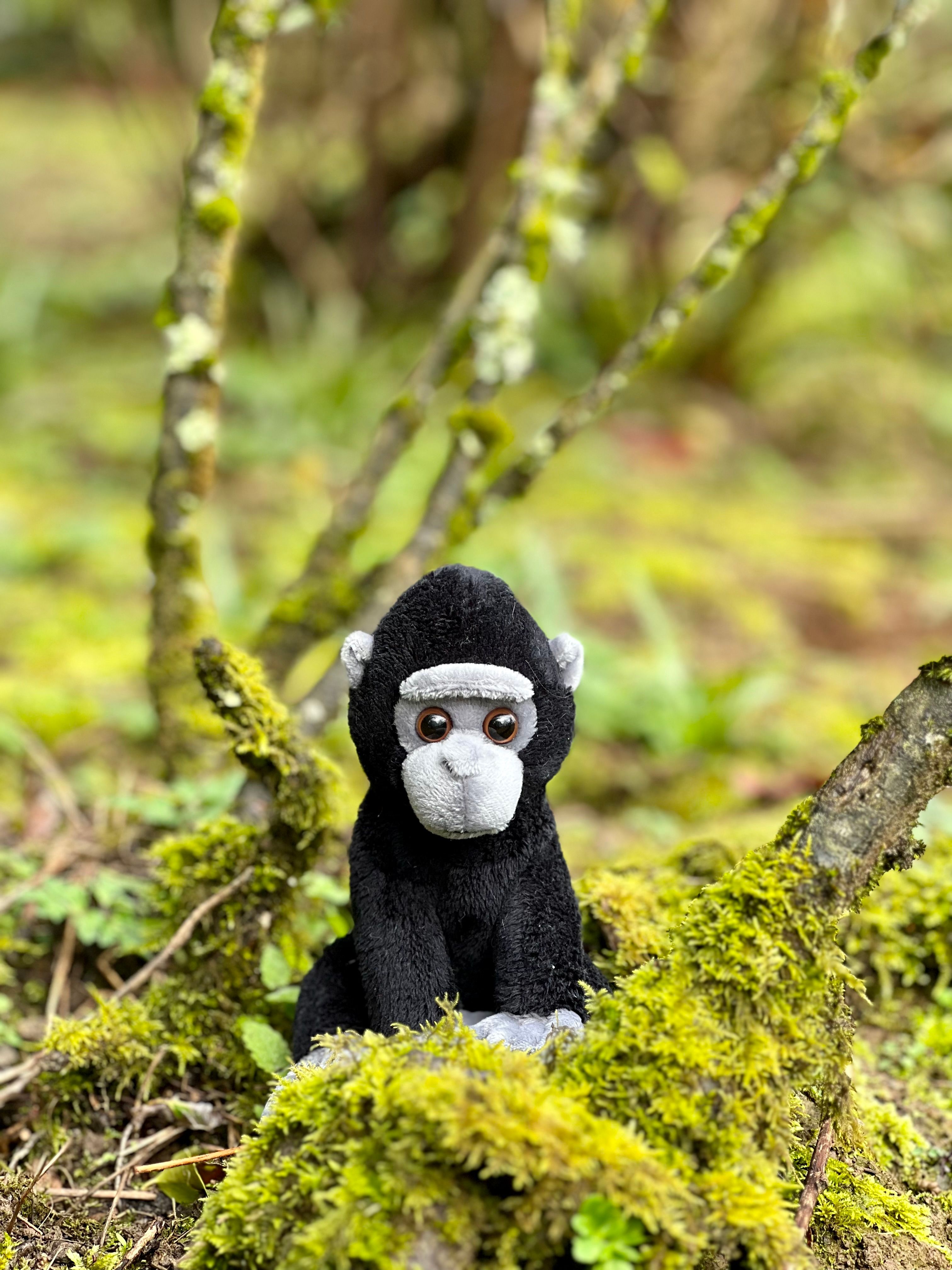 Cuddle Cub Gorilla