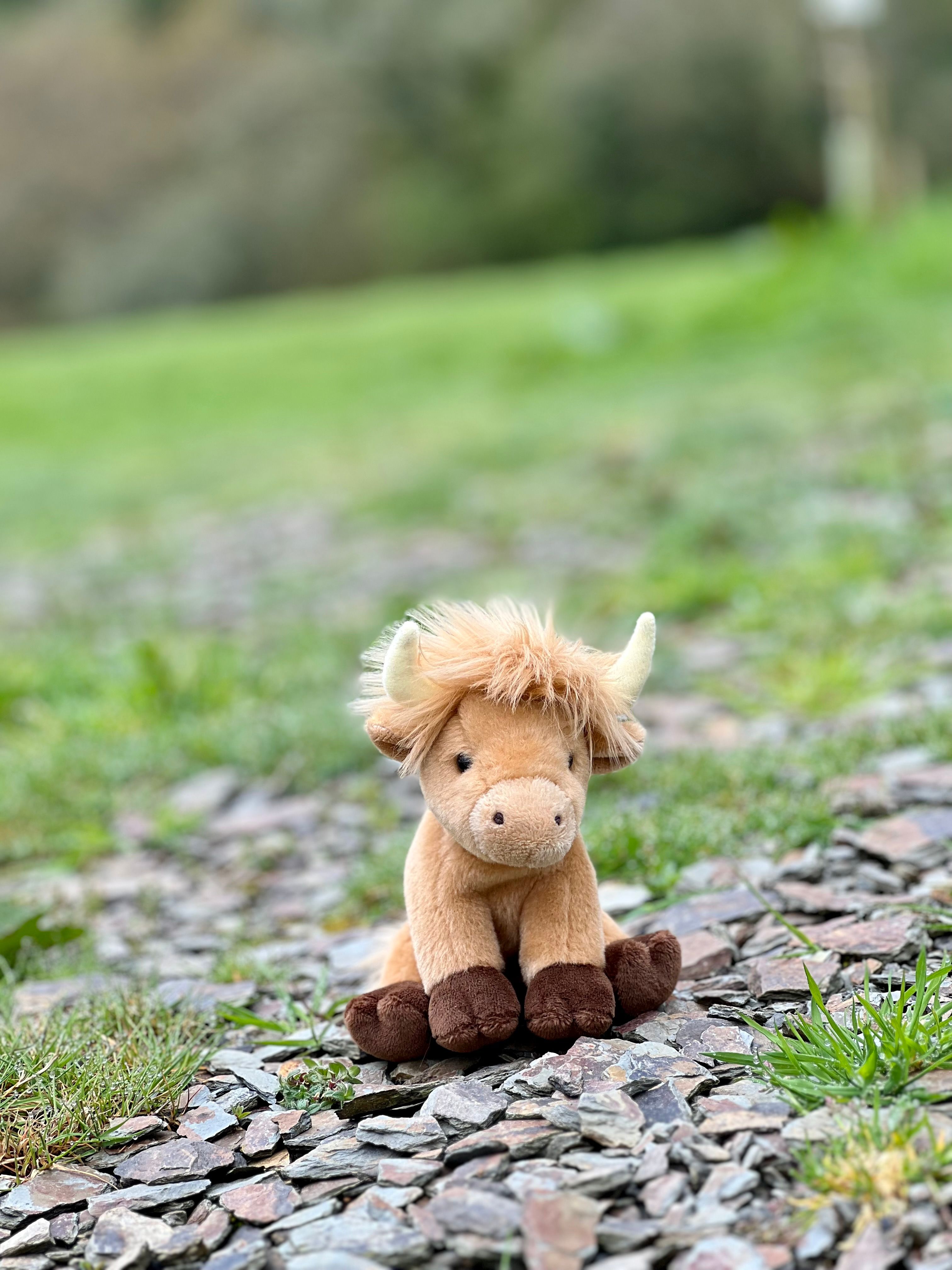 Cuddle Cub Highland Cow
