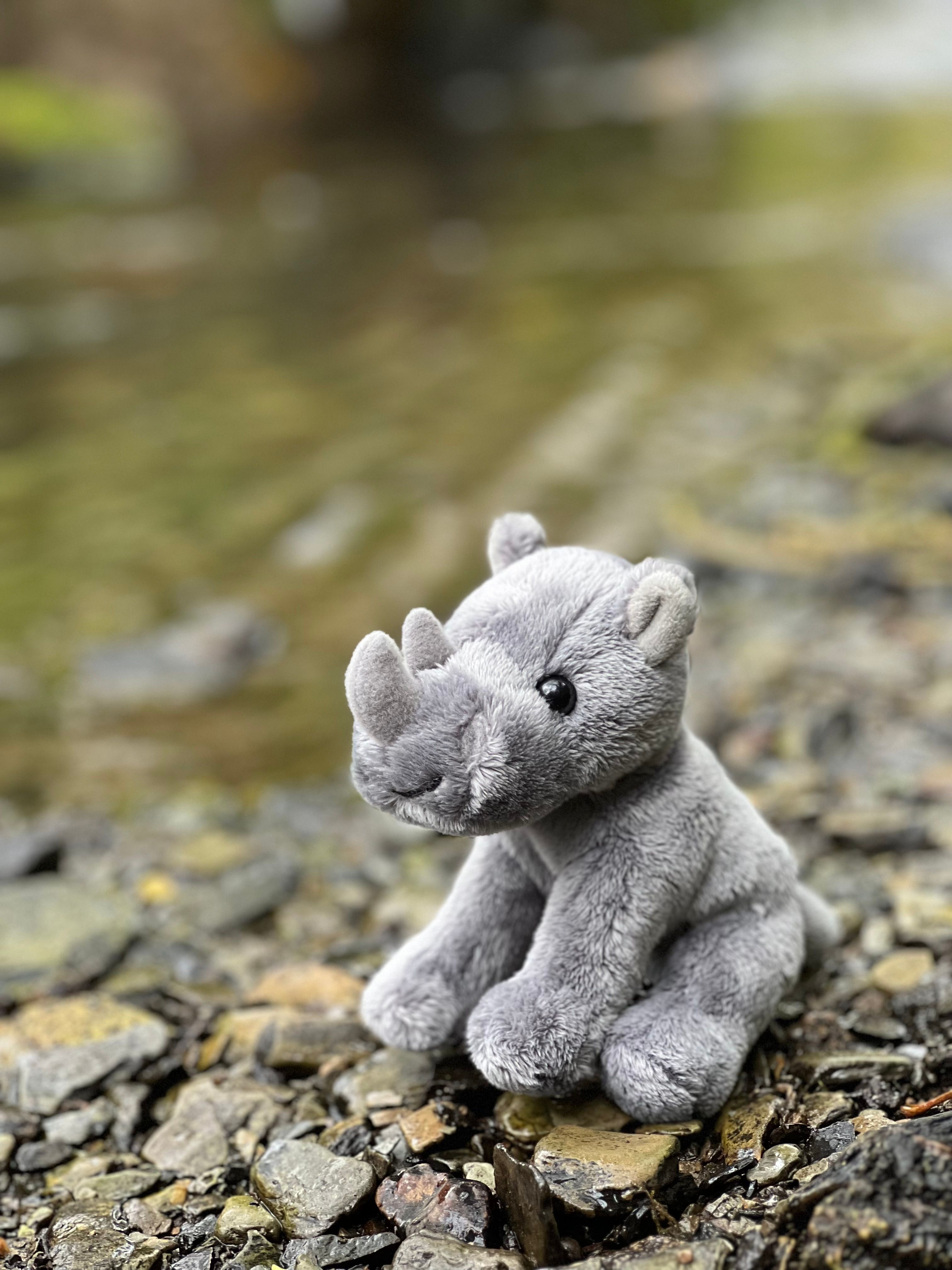 Cuddle Cub Rhino