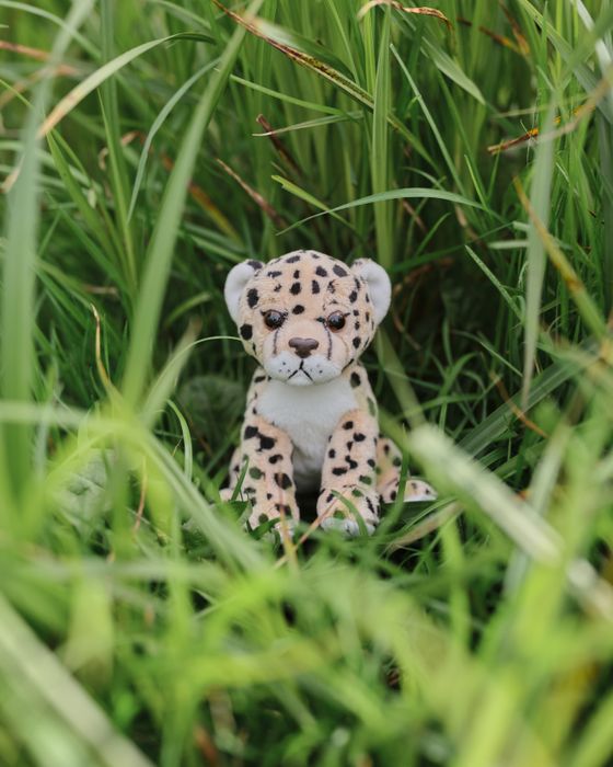 Cuddle Cub Leopard