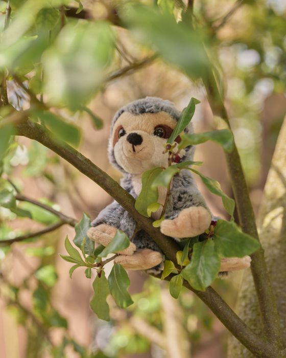 Cuddle Cubs Sloth