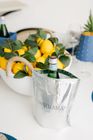 Wine Bag Carrying Tote and Cooler