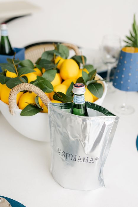 Wine Bag Carrying Tote and Cooler