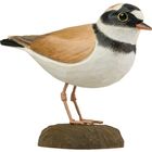 DecoBird Little Ringed Plover