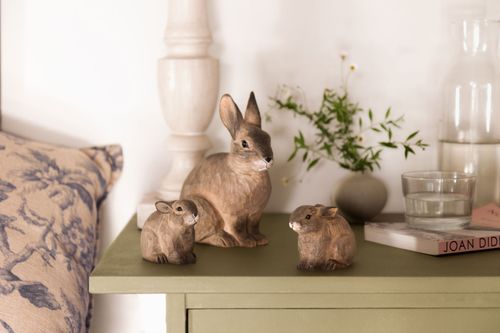 Rabbit Kit