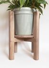Elli plant stand