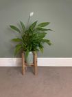 Elli plant stand