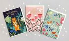 Sunbeams - Relations Cards