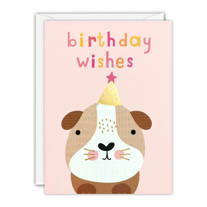 Minnows - Birthday & Occasions Cards