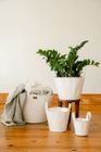Paniere Basket