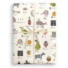 Wrapping Paper