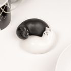 Purrfect Salt & Pepper Shakers