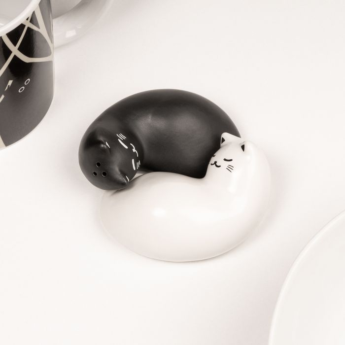Purrfect Salt & Pepper Shakers