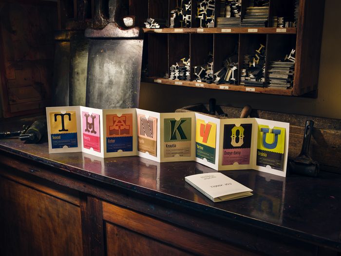 Botanical Alphabet - NEW!