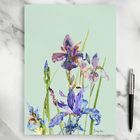 Notepads