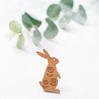 Animal Brooches