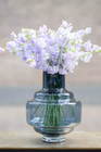 Urtii vases