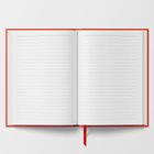 Graphic Notebooks