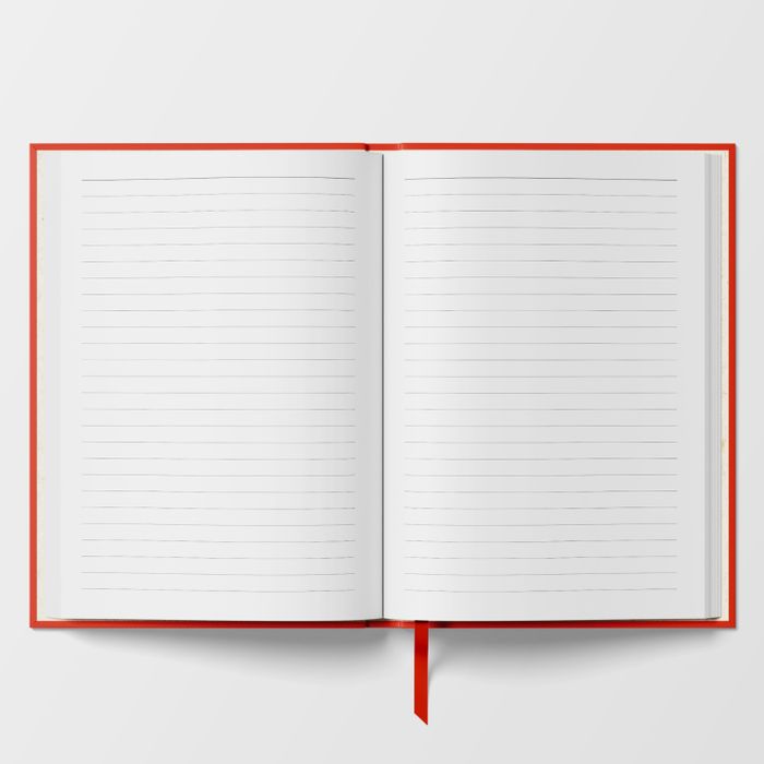 Graphic Notebooks