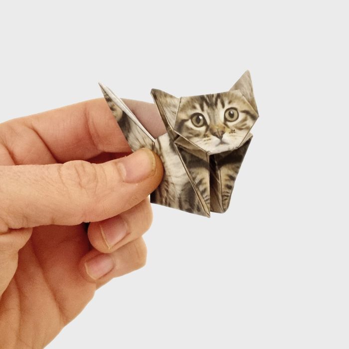 Paper Cats