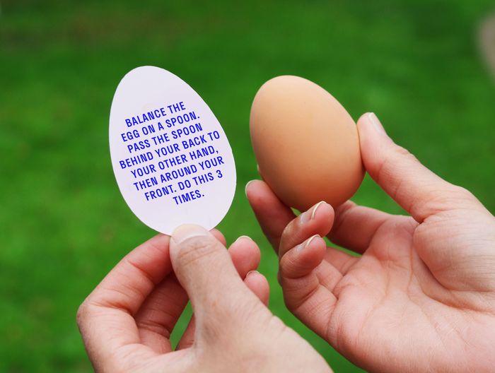 The Egg Game