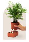 Self-Care Planter