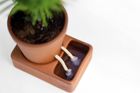 Self-Care Planter