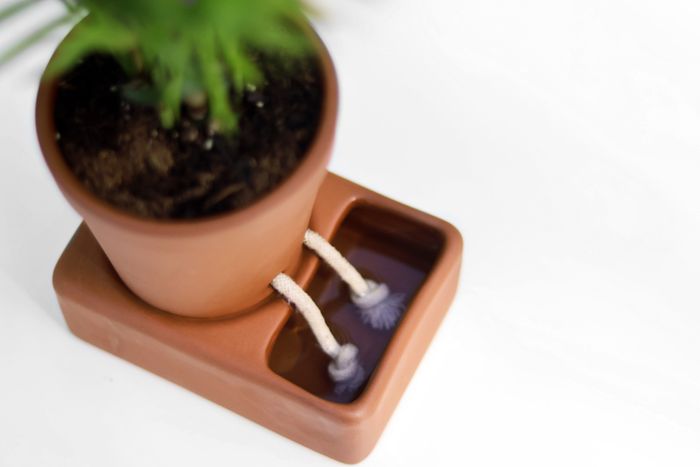 Self-Care Planter